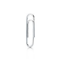 Paper Clips - Large (100)