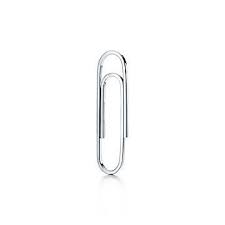 Paper Clips - Small (100)